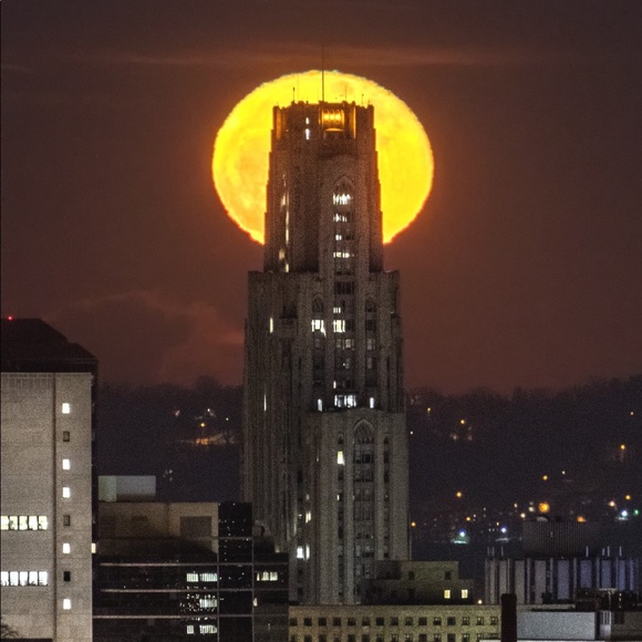 Meet your Posher, Danny - Picture 1 of 1